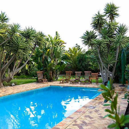 Secret Garden Guesthouse Bloubergstrand Buitenkant foto