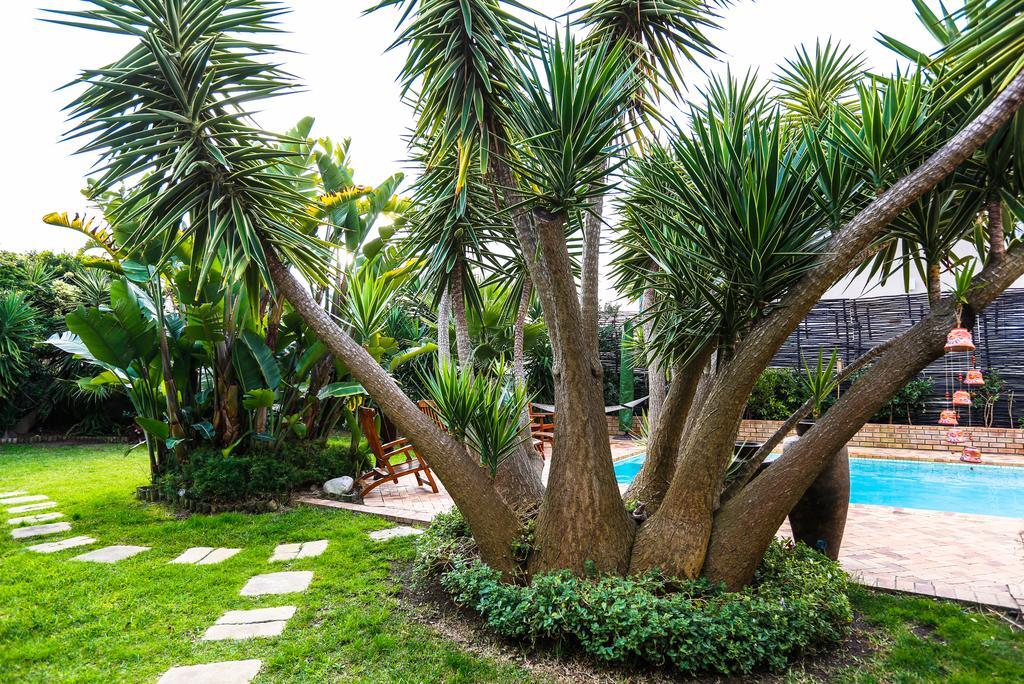 Secret Garden Guesthouse Bloubergstrand Buitenkant foto