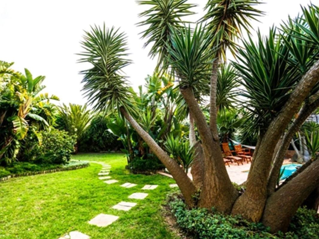 Secret Garden Guesthouse Bloubergstrand Buitenkant foto