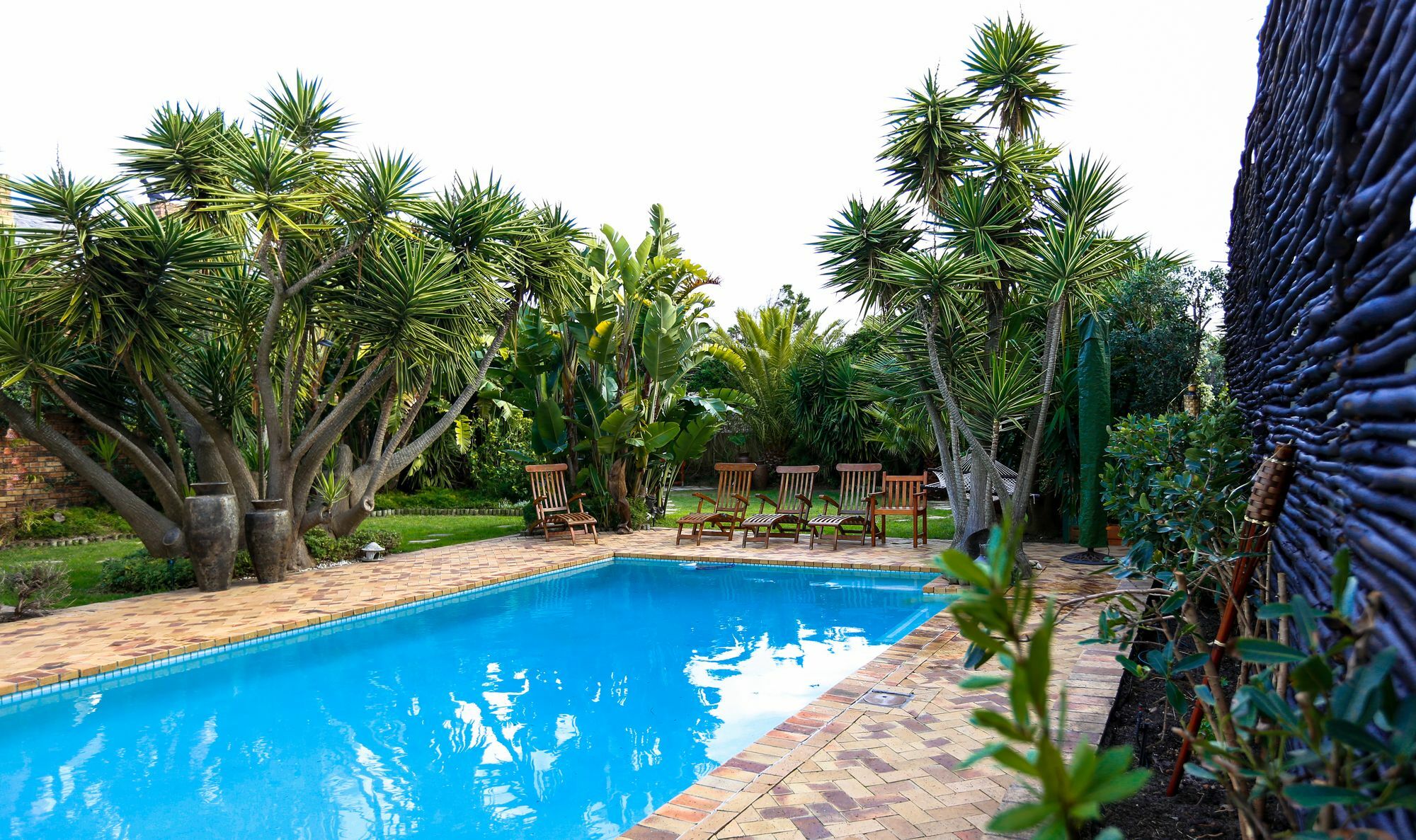 Secret Garden Guesthouse Bloubergstrand Buitenkant foto